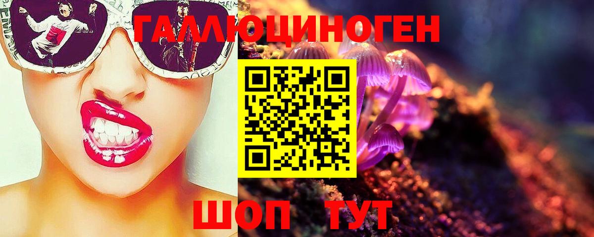 Псилоцибиновые грибы GOLDEN TEACHER  Вход с VPN  Тайшет 