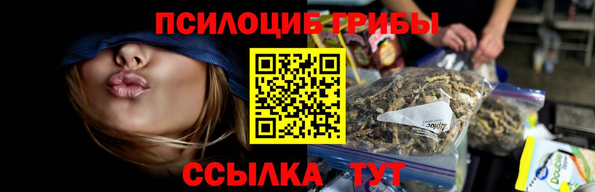 Галлюциногенные грибы MAGIC MUSHROOMS Тайшет